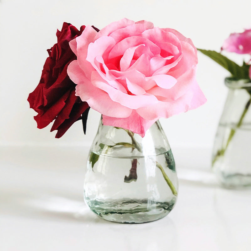 Compact and transparent Glass Vase